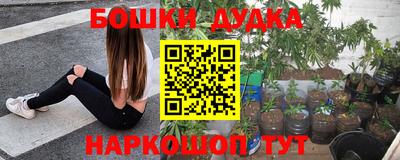 индика Краснодар